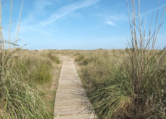 公寓 Loft Villalonga By Interhome 瓦伦西亚